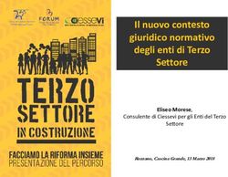 Il nuovo contesto giuridico normativo degli enti di Terzo Settore - Eliseo Morese, Risorse Sociali