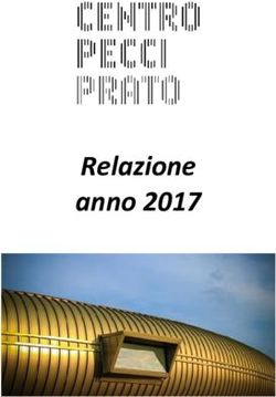 Relazione anno 2017 - Centro Pecci