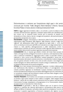Determinazione a contrarre per l'acquisizione degli spazi e dei servizi necessari per l'evento "Valle idrogeno Nord Adriatico" Trieste, Savoia ...