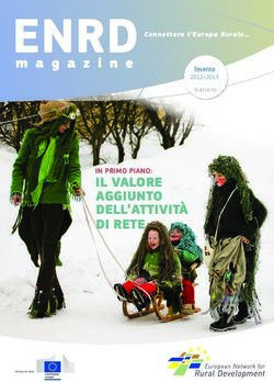 IL VALORE AGGIUNTO DELL'ATTIVITÀ DI RETE - INVERNO 2012 /2013 - EUROPA EU