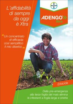 L'affidabilit&agrave; di sempre da oggi &egrave; Xtra - Erbicida