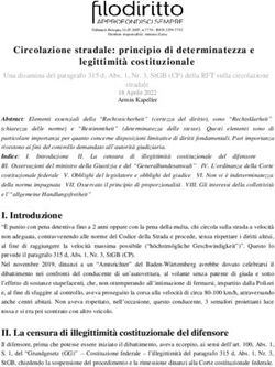 Circolazione stradale: principio di determinatezza e legittimit&agrave; costituzionale - Filodiritto
