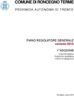 COMUNE DI RONCEGNO TERME - PROVINCIA AUTONOMA DI TRENTO PIANO REGOLATORE GENERALE