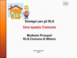 Uno spazio Comune Sostegni per gli RLS Modesto Prosperi RLS Comune di Milano - Mercoled&igrave; 24 giugno - CIIP-Consulta