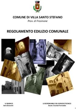 REGOLAMENTO EDILIZIO COMUNALE - COMUNE DI VILLA SANTO STEFANO Prov. di Frosinone