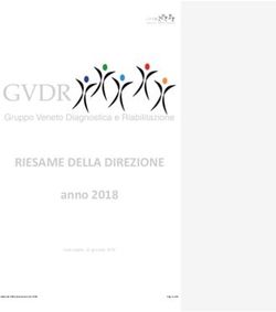 RIESAME DELLA DIREZIONE - anno 2018 - GVDR