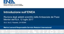 Introduzione sull'ENEA - Riunione degli addetti scientifici delle Ambasciate dei Paesi Membri dell'IILA, 12 luglio 2017