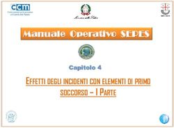 SOCCORSO - I PARTE EFFETTI DEGLI INCIDENTI CON ELEMENTI DI PRIMO - Manuale Operativo SEPES