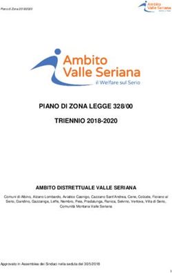 PIANO DI ZONA LEGGE 328/00 TRIENNIO 2018-2020 - SSVALSERIANA.ORG