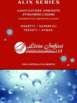 ALIX SERIES SANIFICATORE AMBIENTE ATTRAVERSO L'OZONO OGGETTI SUPERFICI TESSUTI ACQUA - Livia Infissi LGB