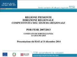 REGIONE PIEMONTE DIREZIONE REGIONALE POR FESR 2007/2013 - COMPETITIVITA'DEL SISTEMA REGIONALE