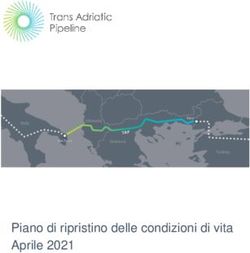 Piano di ripristino delle condizioni di vita Aprile 2021 - Trans Adriatic ...