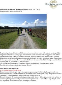 In bici ammirando il paesaggio umbro (DTC 007 UMB)