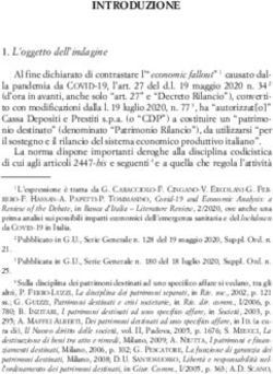 INTRODUZIONE - Giappichelli