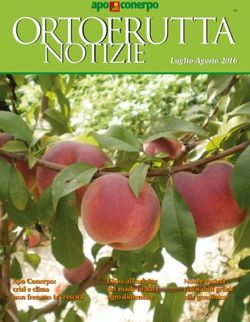 ORTOFRUTTA NOTIZIE LUGLIO-AGOSTO 2016 - LUGLIO-AGOSTO 2016 - APO CONERPO