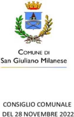 CONSIGLIO COMUNALE DEL 28 NOVEMBRE 2022