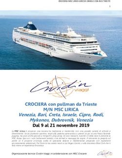 M/N MSC LIRICA CROCIERA con pullman da Trieste - Cividin