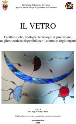 IL VETRO Caratteristiche, tipologie, tecnologie di produzione, migliori tecniche disponibili per il controllo degli impatti - APPA Trento