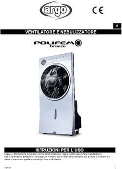 VENTILATORE E NEBULIZZATORE