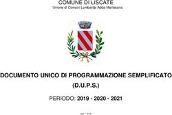 DOCUMENTO UNICO DI PROGRAMMAZIONE SEMPLIFICATO - (D.U.P.S.) PERIODO: 2019 2020 - 2021 - Comune di Liscate