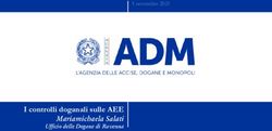 I controlli doganali sulle AEE - Mariamichaela Salati - 5 novembre 2021 - Camera di Commercio della ...