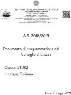 A.S. 2018/2019 Documento di programmazione del - Caio Plinio Secondo