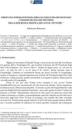 VERSO UNA FORMA DI POLIZIA PRIVATA NELLO SPAZIO DIGITALE? L'INEDITO RUOLO DEI PROVIDER NELLA DISCIPLINA TEDESCA DEI SOCIAL NETWORK ( ) - MPG.PURE