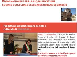 PIANO NAZIONALE PER LA RIQUALIFICAZIONE SOCIALE E CULTURALE DELLE AREE URBANE DEGRADATE
