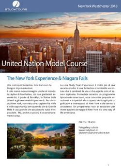 United Nation Model Course - The New York Experience & Niagara Falls - Study Tours