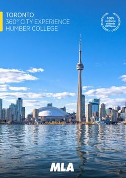 TORONTO 360 CITY EXPERIENCE HUMBER COLLEGE - MLA