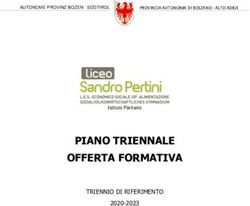 PIANO TRIENNALE OFFERTA FORMATIVA - TRIENNIO DI RIFERIMENTO 2020-2023 - Liceo Sandro ...