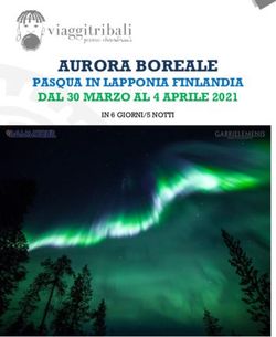 AURORA BOREALE PASQUA IN LAPPONIA FINLANDIA DAL 30 MARZO AL 4 APRILE 2021 - IN 6 GIORNI/5 NOTTI - Viaggi Tribali
