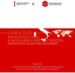 LINEA SUD: INFRASTRUTTURE E INGEGNERIA PER LA CRESCITA PROPOSTE PER IL RILANCIO DEL MEZZOGIORNO - Consiglio Nazionale Ingegneri