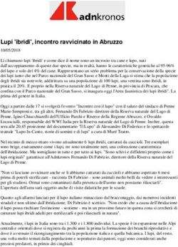 Lupi 'ibridi', incontro ravvicinato in Abruzzo - LIFE MIRCO-Lupo