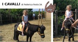 I CAVALLI di Federica Feola 3A