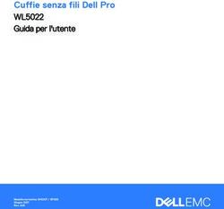 Cuffie senza fili Dell Pro - WL5022 Guida per l'utente