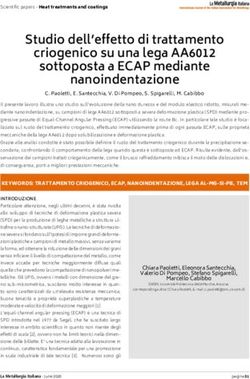Studio dell'effetto di trattamento criogenico su una lega AA6012 sottoposta a ECAP mediante nanoindentazione