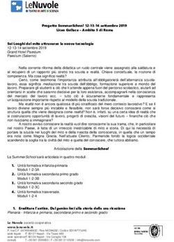 Progetto SummerSchool settembre 2019 Liceo Gullace - Ambito 5 di Roma