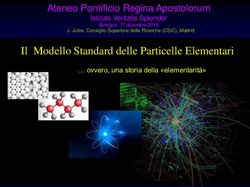 Il Modello Standard delle Particelle Elementari - Ateneo Pontificio ...