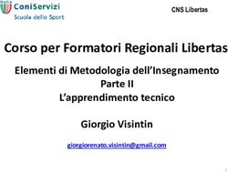 Corso per Formatori Regionali Libertas - Elementi di Metodologia dell'Insegnamento L'apprendimento tecnico Giorgio Visintin