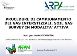 PROCEDURE DI CAMPIONAMENTO DEI GAS INTERSTIZIALI: SOIL GAS SURVEY IN MODALITA' ATTIVA - dott. geol. Madela TORRETTA - SNPA Ambiente