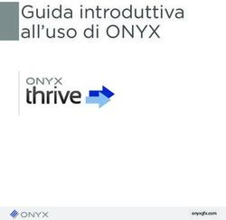 Guida introduttiva all'uso di ONYX - onyxgfx.com