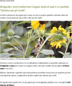 Birdgarden: come trasformare l'angolo verde di casa in un perfetto "Giardino per gli Uccelli"