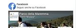CARTA EUROPEA DEL TURISMO SOSTENIBILE EUROPEAN CHARTER FOR SUSTAINABLE TOURISM - ALLEGATO N. 2 COMUNICAZIONE E PROMOZIONE UN PROGETTO INTEGRATO ...
