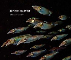 Torinonordovest Bilancio Sociale 2016 - Torino Nord Ovest