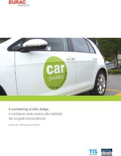 Il carsharing in Alto Adige. Il contributo della ricerca alla fattibilità dei progetti imprenditoriali