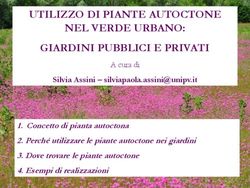 UTILIZZO DI PIANTE AUTOCTONE NEL VERDE URBANO: GIARDINI PUBBLICI E PRIVATI