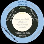 Piano d'azione per la riduzione del rischio e l'utilizzo sostenibile dei prodotti fitosanitari - Rapporto del Consiglio federale