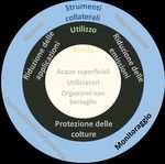 Piano d'azione per la riduzione del rischio e l'utilizzo sostenibile dei prodotti fitosanitari - Rapporto del Consiglio federale
