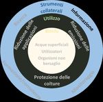 Piano d'azione per la riduzione del rischio e l'utilizzo sostenibile dei prodotti fitosanitari - Rapporto del Consiglio federale